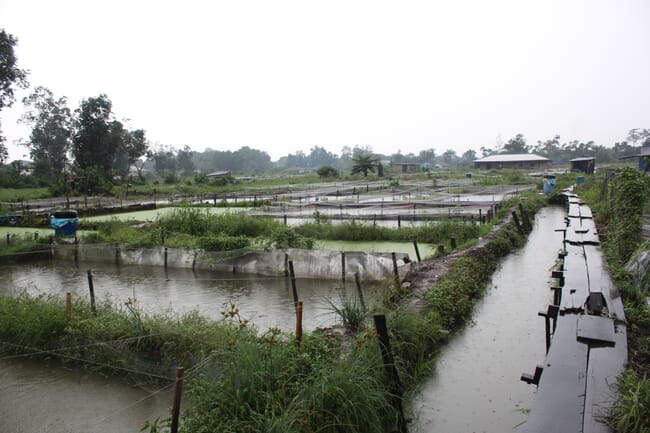 earthen ponds