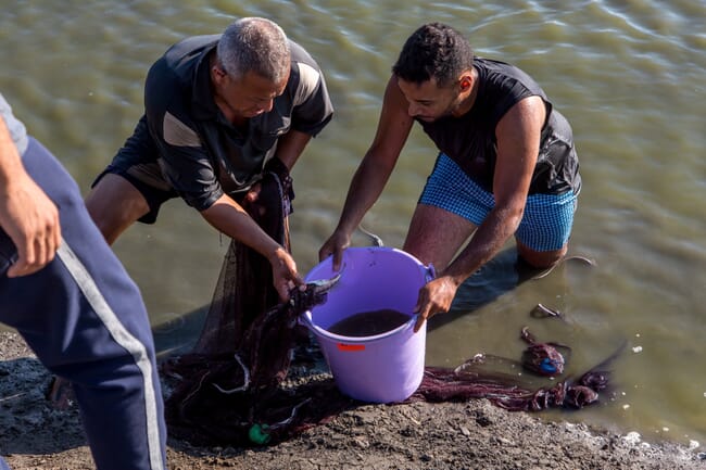 Two men lifting a plastic container from a pond.