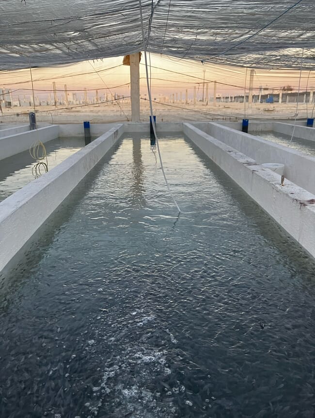 An indoor fish hatchery.