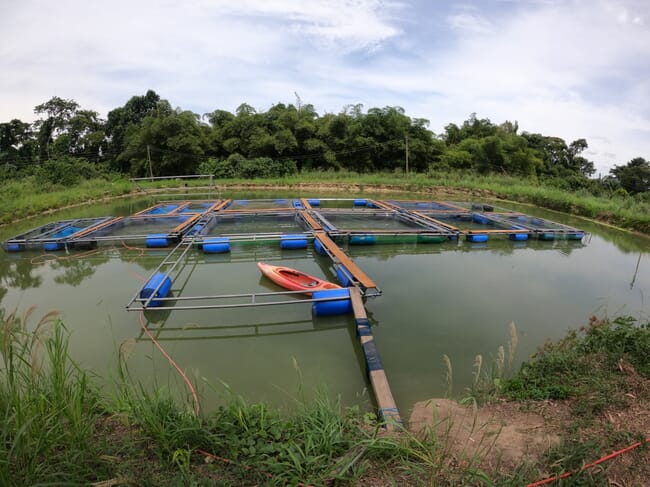 Outdoor fish farm pond