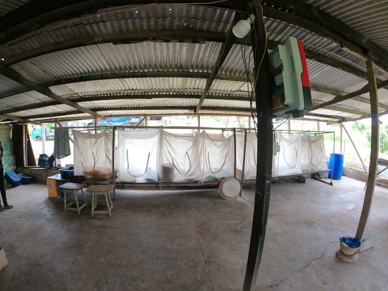 An experimental approach to catfish and tilapia production in Ghana