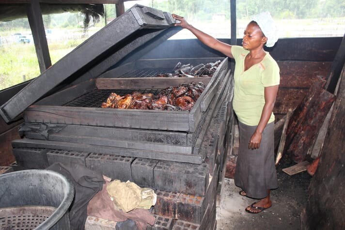 5 Simple Steps On How To Make Dry Fish In Nigeria | 2022