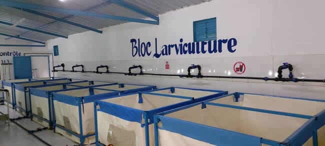 The inside of a modern hatchery in Senegal.