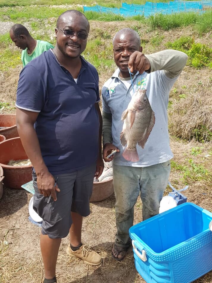 two men holding a tilapia