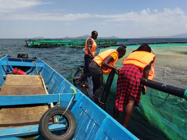 People looking into cages on a lake