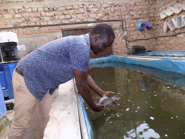 Homem colocando um peixe de volta em um tanque de água