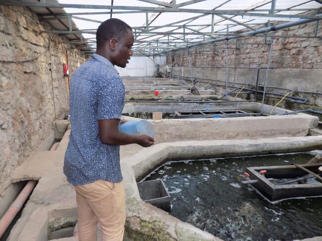 Man adding feed to a concrete tank