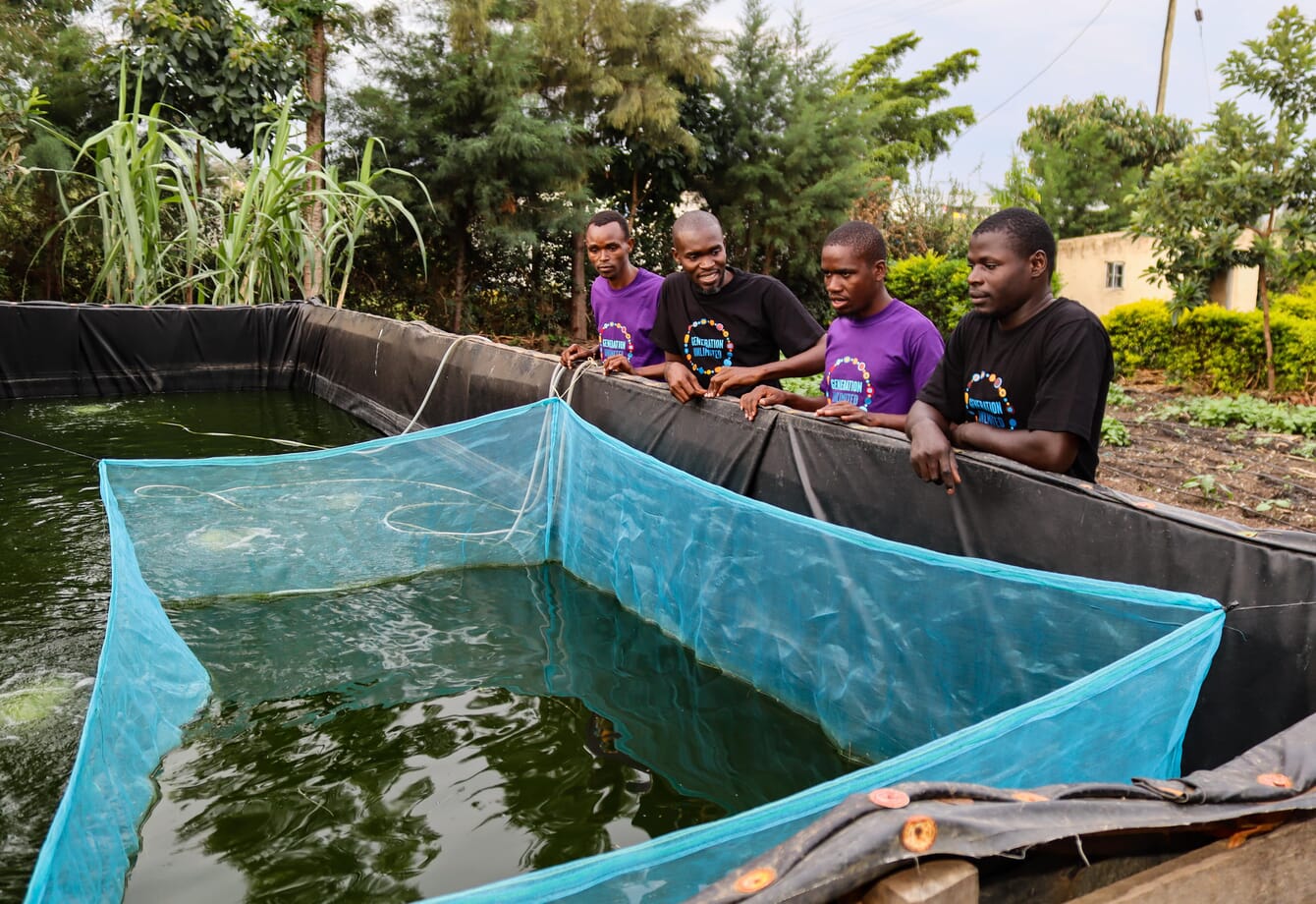 Four men looking into a fish pond