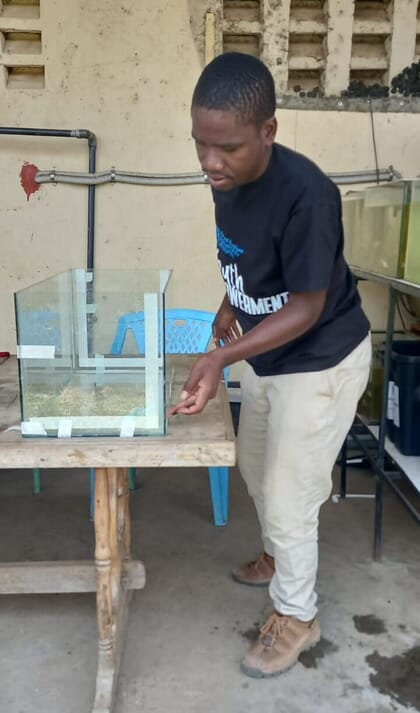 Homem jovem trabalhando em um recipiente transparente em uma mesa