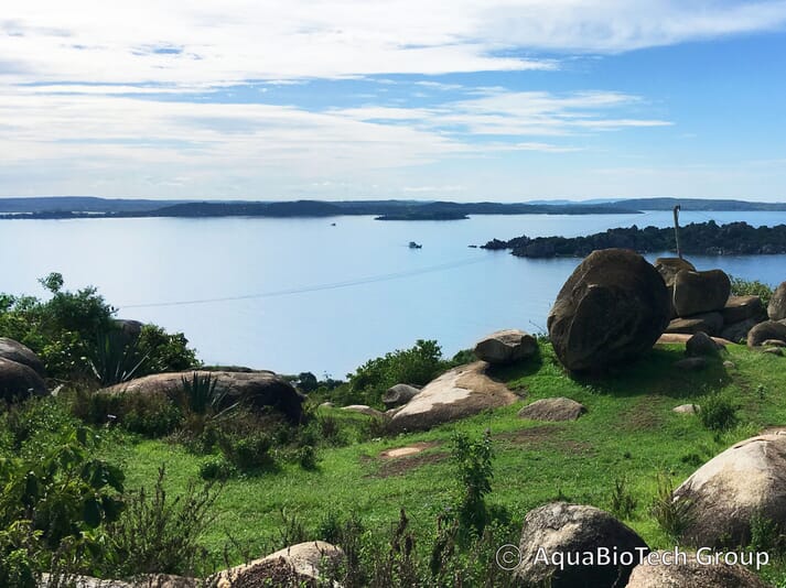 Lake Victoria
