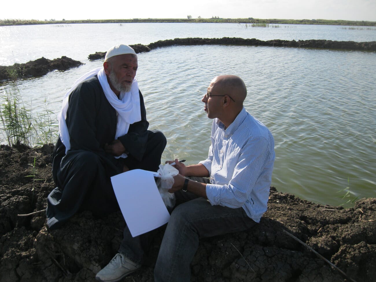 Countering AMR in Egypt's tilapia farming sector The Fish Site