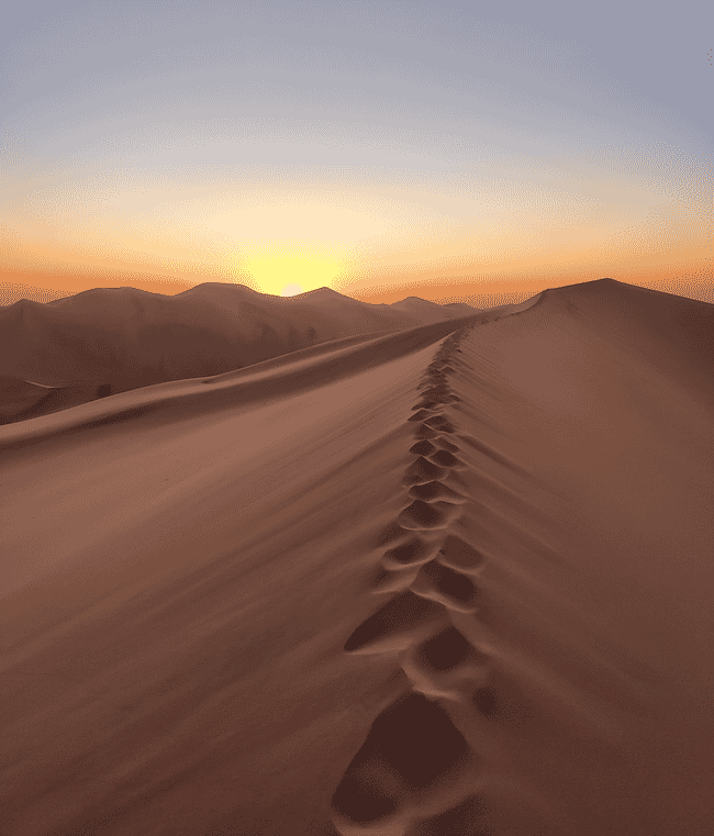 A sand dune at sunrise.