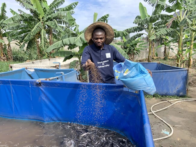 Homem alimentando peixes em um tanque de plástico