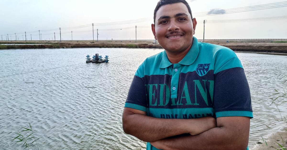 مبادرة زراعة الأخطبوط المصرية |  موقع الأسماك