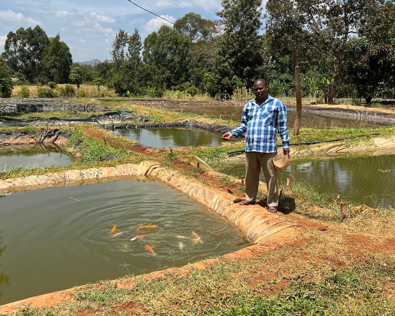 A man feeding fish at his farm in Kenya.