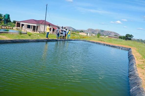 Zimbabwe only produces 18,400 tonnes of fish a year, despite a demand for 60,000 tonnes