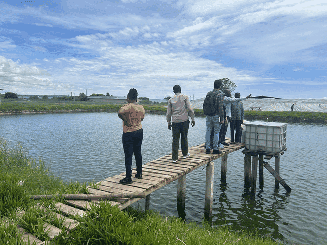 a group of people standing on a jetty overlooking a lake.