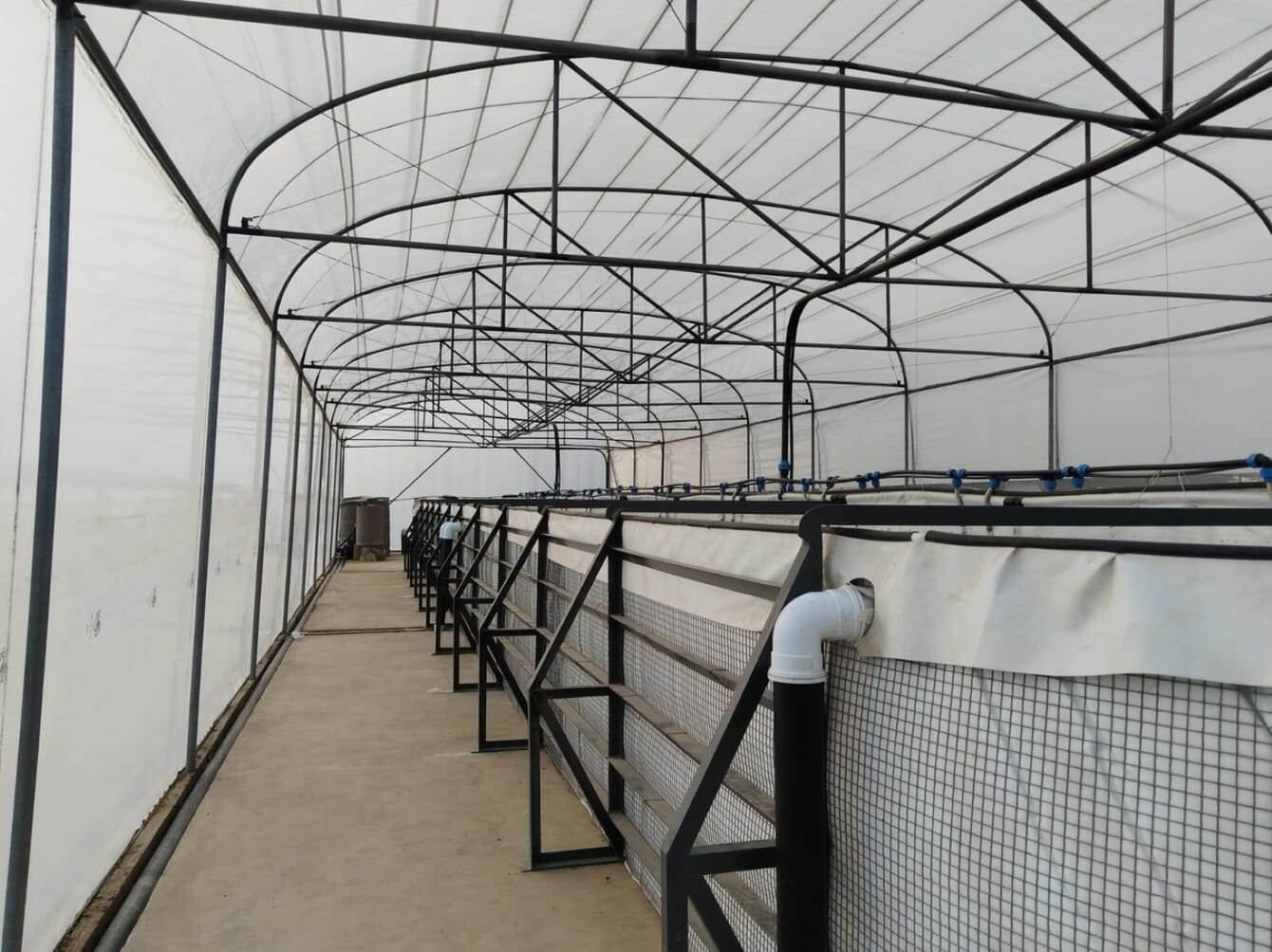 Inside an aquaponics farm with tanks above ground.
