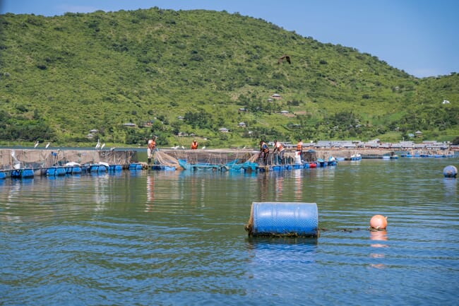 People working around fish cages on a lake.