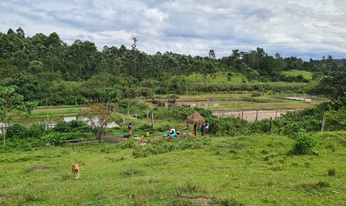 View of ponds at a land-based fish farm