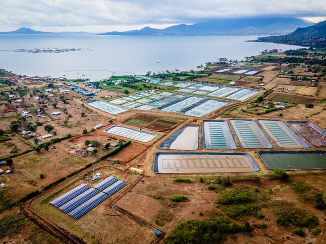 aerial view of a fish farm