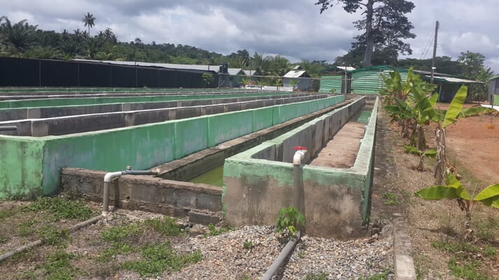 The site has the capacity to produce 1.5 million juvenile catfish and 200,000 juvenile tilapia a year, as well as hundreds of thousands of market-sized fish.