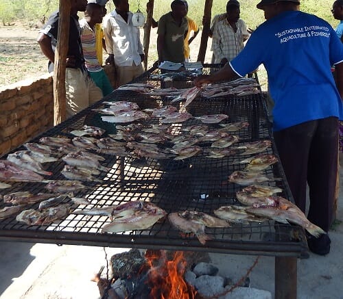 Customers looking at tilapia in a fish market in Zimbabwe