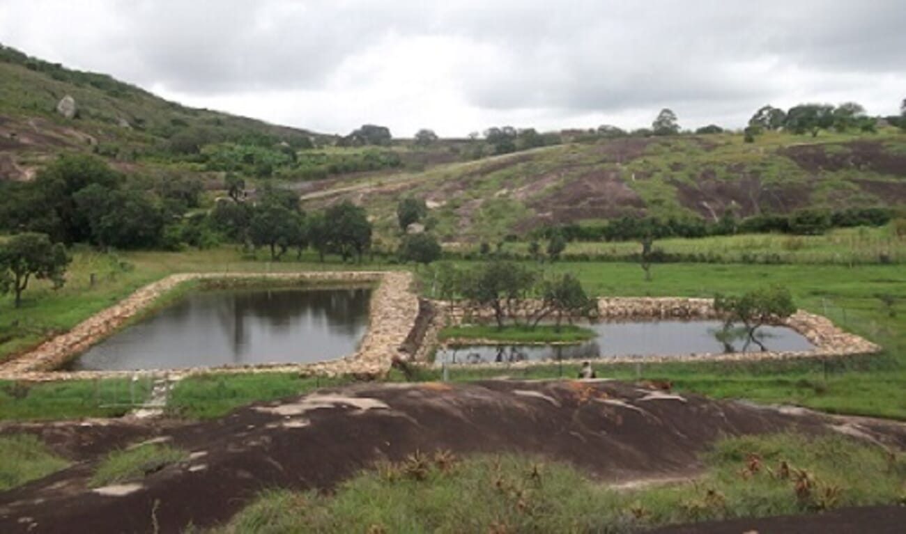 Unlocking Zimbabwe’s pond aquaculture potential The Fish Site