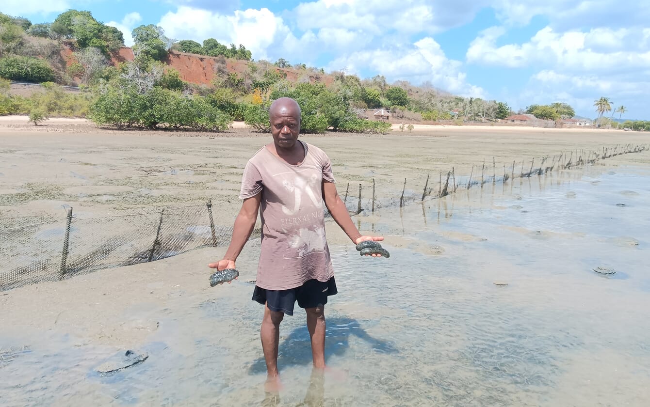 Farmer holding sea cucumbers