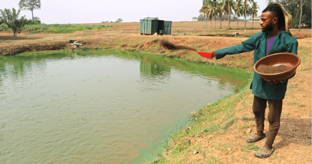 How aquaculture can make inroads into Nigeria’s billion seafood trade deficit How aquaculture can make inroads into Nigeria’s billion seafood trade deficit