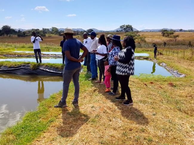 Group of people standing around a pond