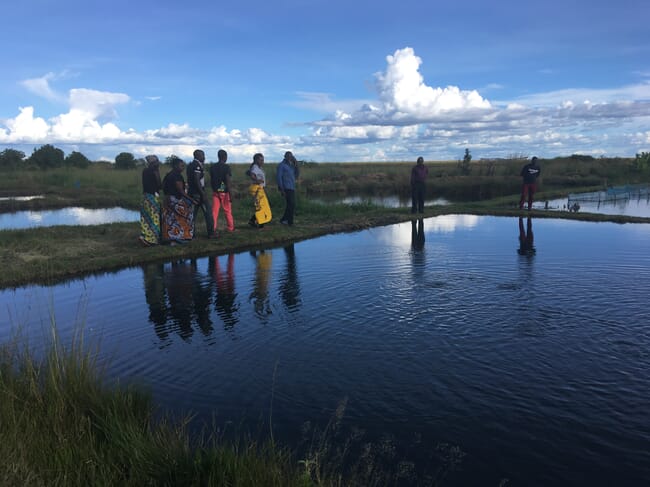 People inspecting a fish farm.