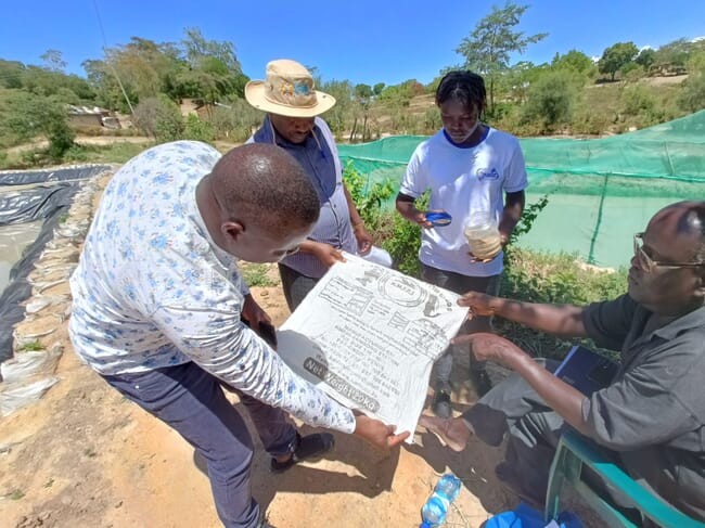 Group of four people looking at a feed sack