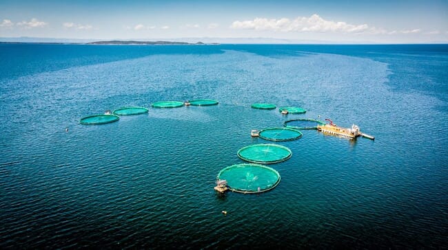 aerial view of fish cages