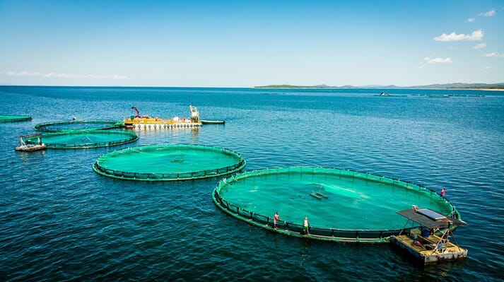 Circular fish cages in the water