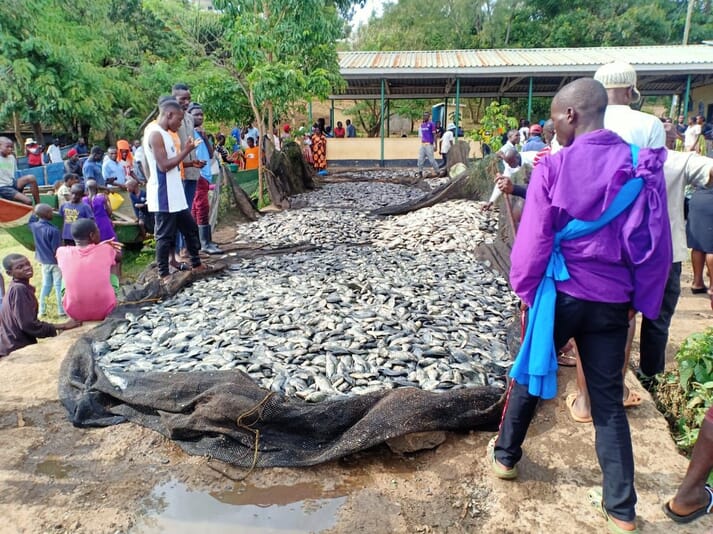 people standing next to a pile of dead fish