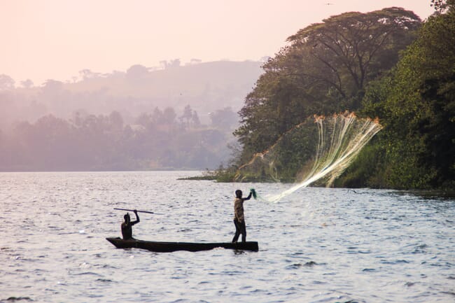 Fishermen throwing nets.