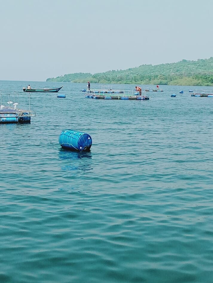 Tilapia cages off Mfango Island in Lake Victoria