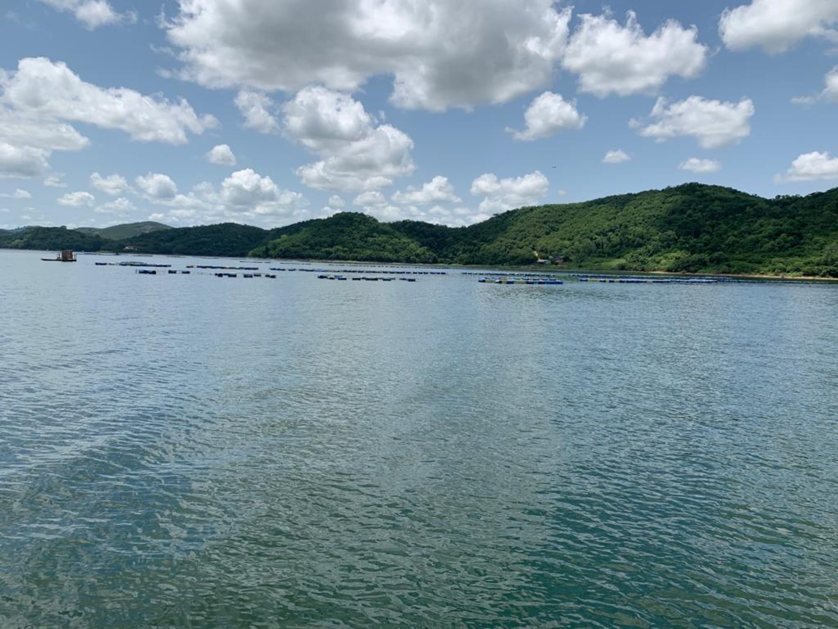 Why fish farming on Lake Volta needs a radical rethink | The Fish Site