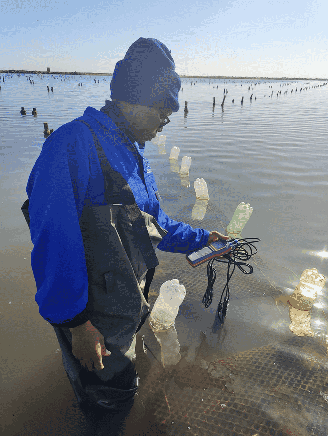A man in an oyster farm.