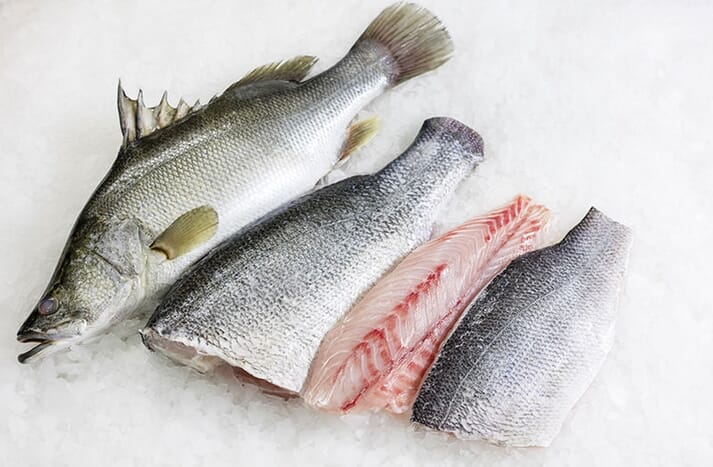 Nile perch on ice