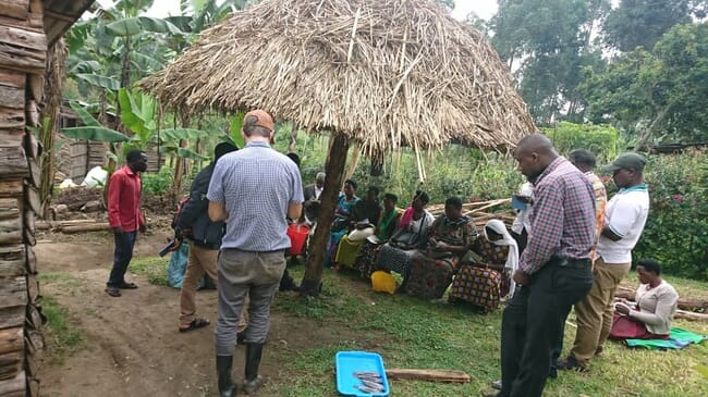 Group of people being taught under a straw umbrella