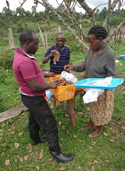 Woman buying fish from two men