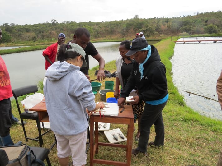 group conducting tests on fish at the side of a pond