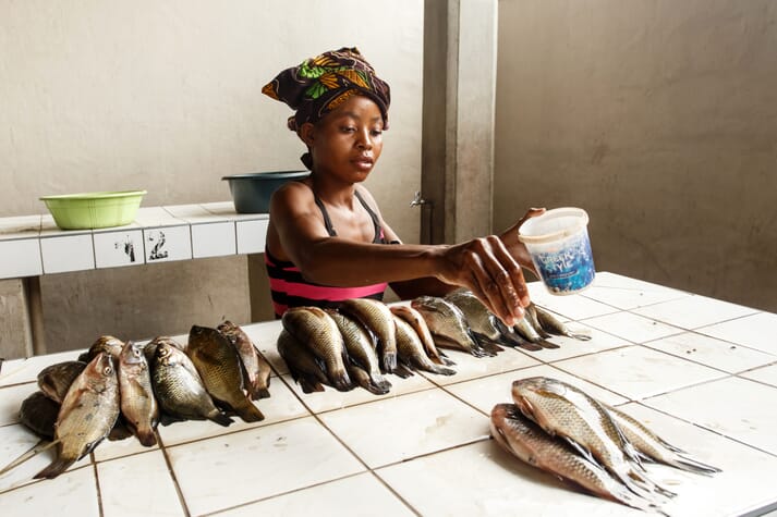 Tilapia for sale in a fish market in Africa