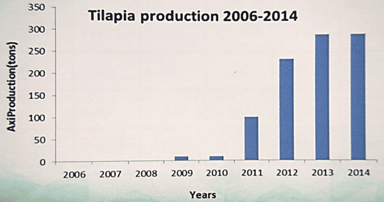 Invasive or imperative? South Africa’s quandary over Nile tilapia The