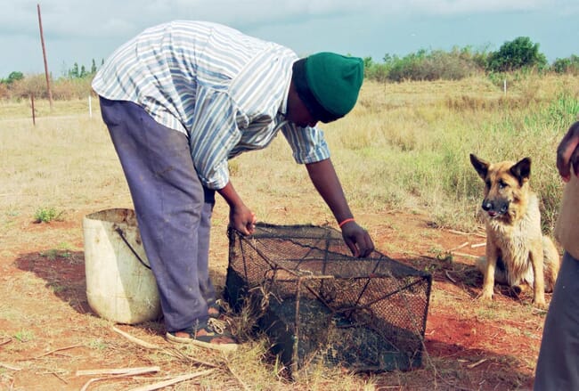 Man with a crayfish trap