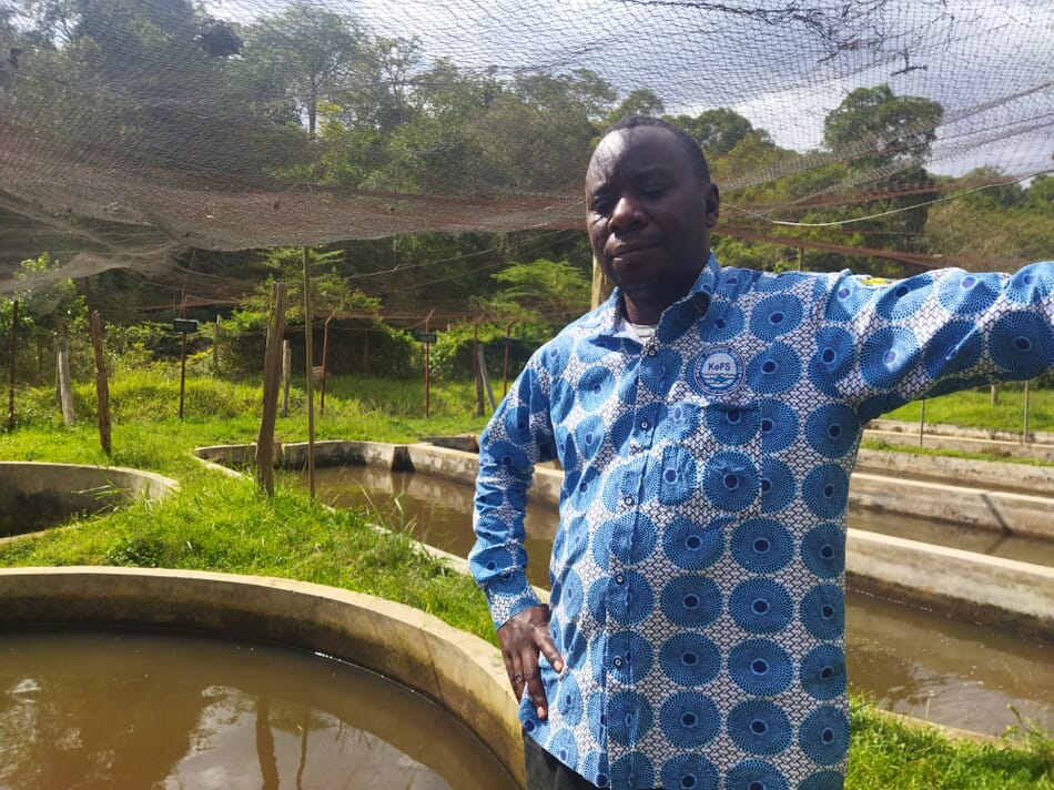 The challenges and opportunities of Kenya’s trout farms The Fish Site