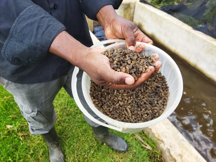 person holding trout feed pellets