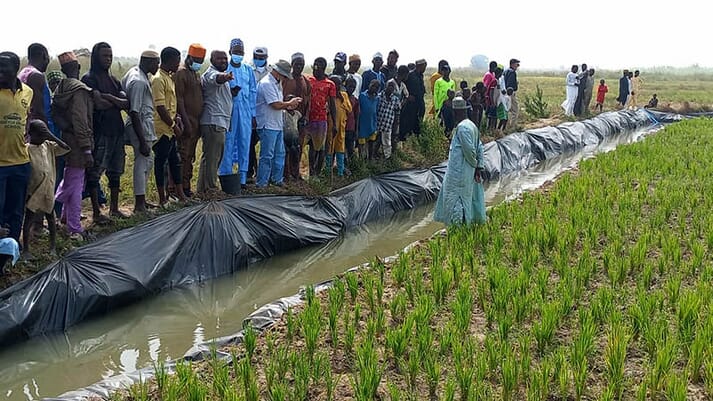 Villagers and farmers in Wawu Kebbi state watching an aquaculture demonstration